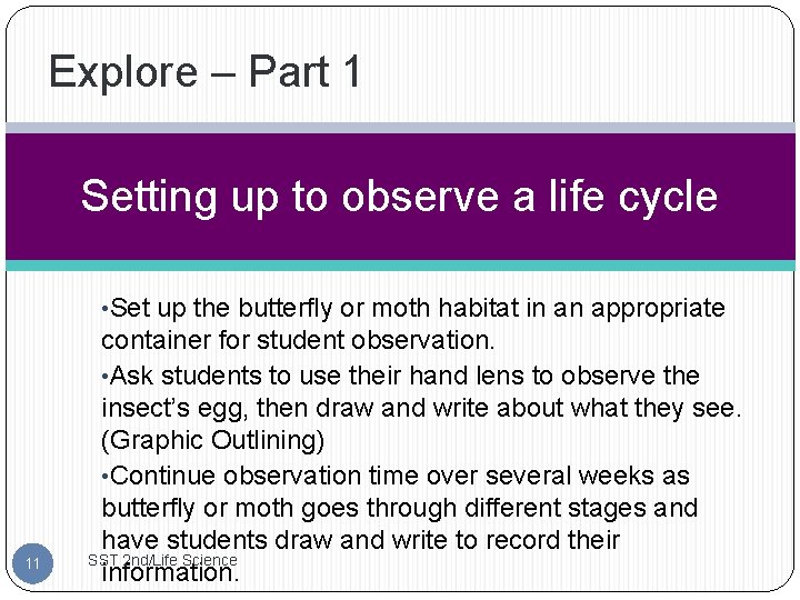 Explore – Part 1 Setting up to observe a life cycle • Set up