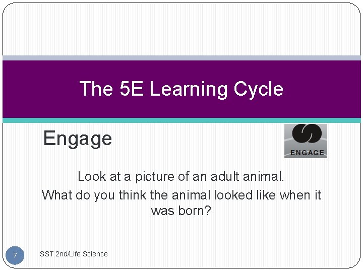 The 5 E Learning Cycle Engage Look at a picture of an adult animal.