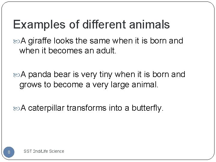 Examples of different animals A giraffe looks the same when it is born and