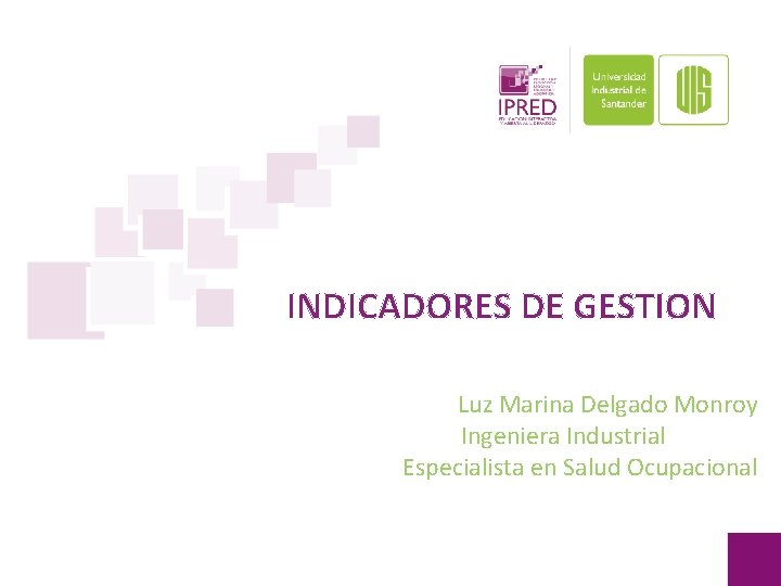 INDICADORES DE GESTION Luz Marina Delgado Monroy Ingeniera Industrial Especialista en Salud Ocupacional 