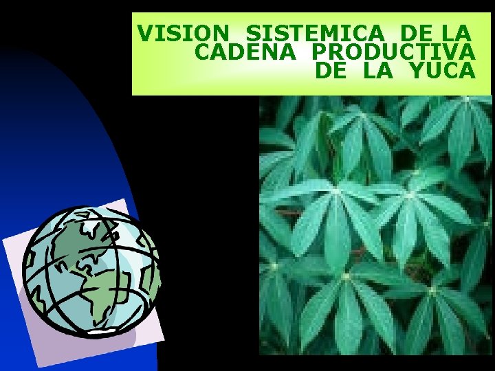 VISION SISTEMICA DE LA CADENA PRODUCTIVA DE LA YUCA 