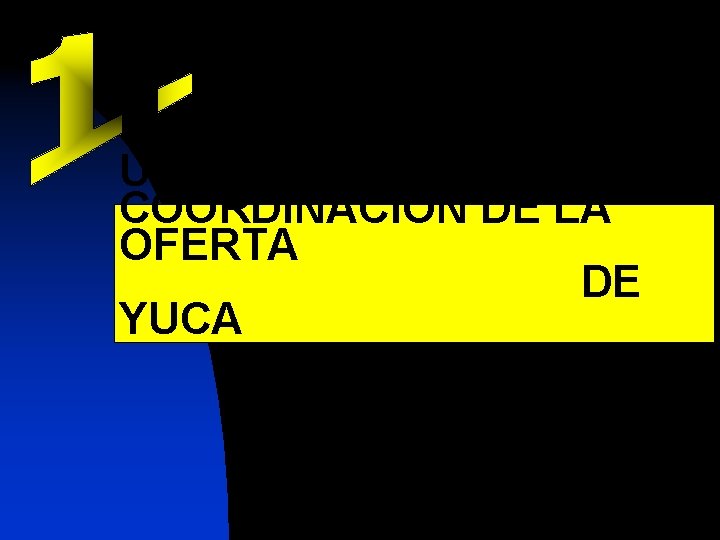 NO EXISTE UNA COORDINACION DE LA OFERTA DE YUCA 