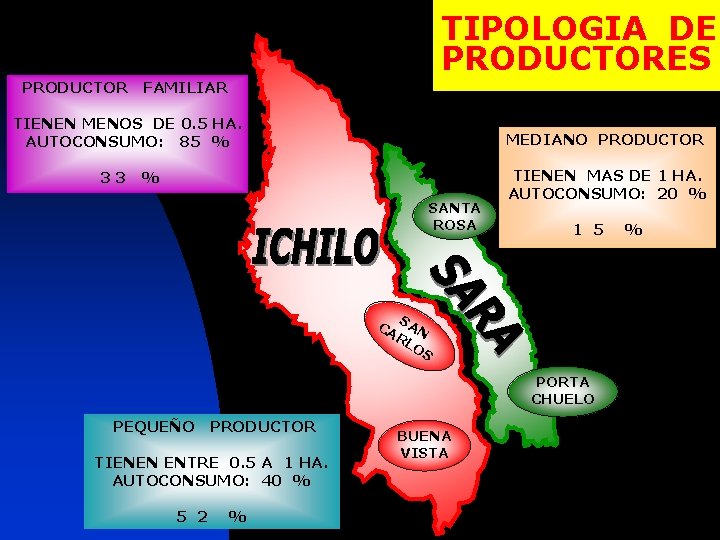TIPOLOGIA DE PRODUCTORES PRODUCTOR FAMILIAR TIENEN MENOS DE 0. 5 HA. AUTOCONSUMO: 85 %