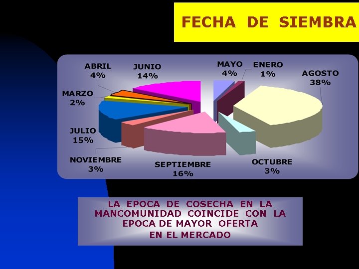 FECHA DE SIEMBRA LA EPOCA DE COSECHA EN LA MANCOMUNIDAD COINCIDE CON LA EPOCA