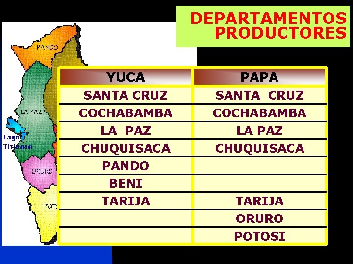 DEPARTAMENTOS PRODUCTORES YUCA PAPA SANTA CRUZ COCHABAMBA LA PAZ CHUQUISACA PANDO BENI TARIJA SANTA