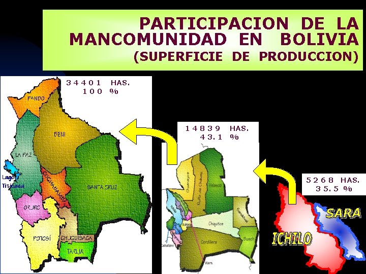 PARTICIPACION DE LA MANCOMUNIDAD EN BOLIVIA (SUPERFICIE DE PRODUCCION) 34401 100 HAS. % 14839