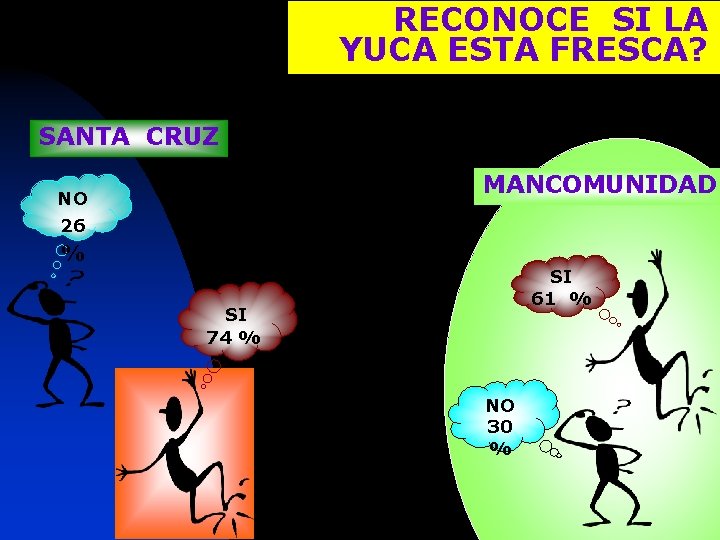 RECONOCE SI LA YUCA ESTA FRESCA? SANTA CRUZ MANCOMUNIDAD NO 26 % SI 61
