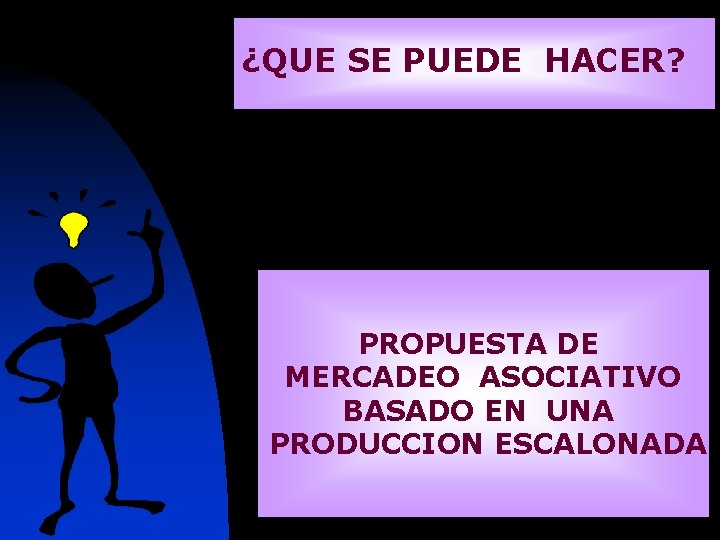 ¿QUE SE PUEDE HACER? PROPUESTA DE MERCADEO ASOCIATIVO BASADO EN UNA PRODUCCION ESCALONADA 
