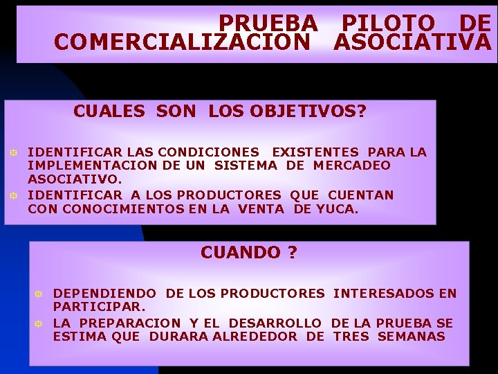 PRUEBA PILOTO DE COMERCIALIZACION ASOCIATIVA CUALES SON LOS OBJETIVOS? IDENTIFICAR LAS CONDICIONES EXISTENTES PARA