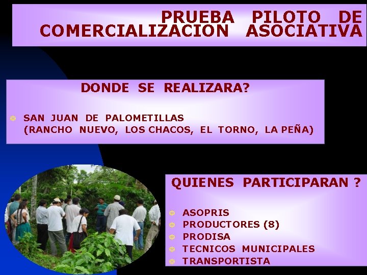 PRUEBA PILOTO DE COMERCIALIZACION ASOCIATIVA DONDE SE REALIZARA? ° SAN JUAN DE PALOMETILLAS (RANCHO