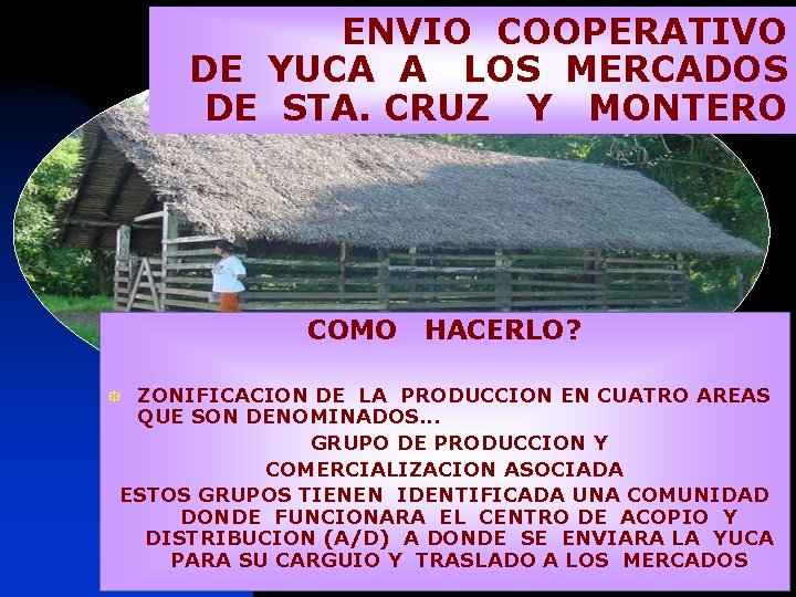 ENVIO COOPERATIVO DE YUCA A LOS MERCADOS DE STA. CRUZ Y MONTERO COMO HACERLO?