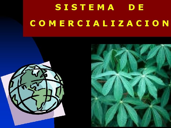 SISTEMA DE COMERCIALIZACION 
