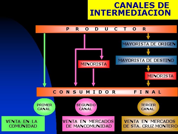 CANALES DE INTERMEDIACION P R O D U C T O R MAYORISTA DE