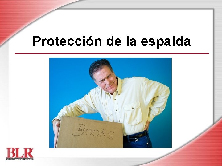 Protección de la espalda 