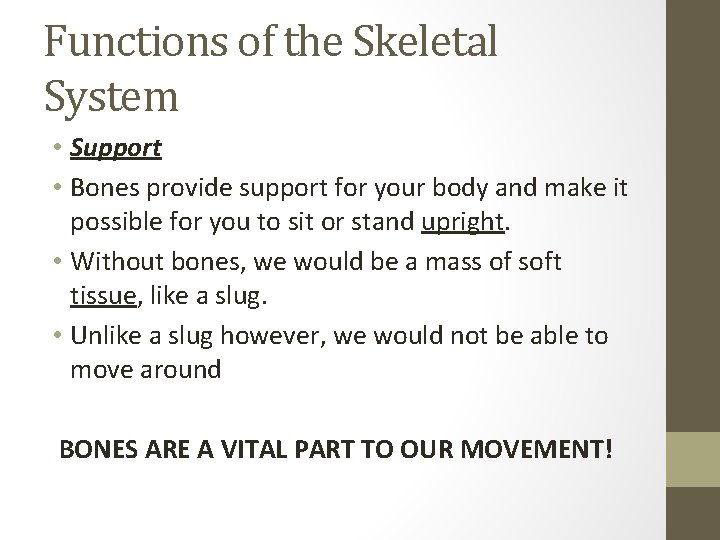 Functions of the Skeletal System • Support • Bones provide support for your body