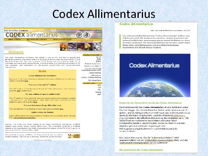 Codex Allimentarius 