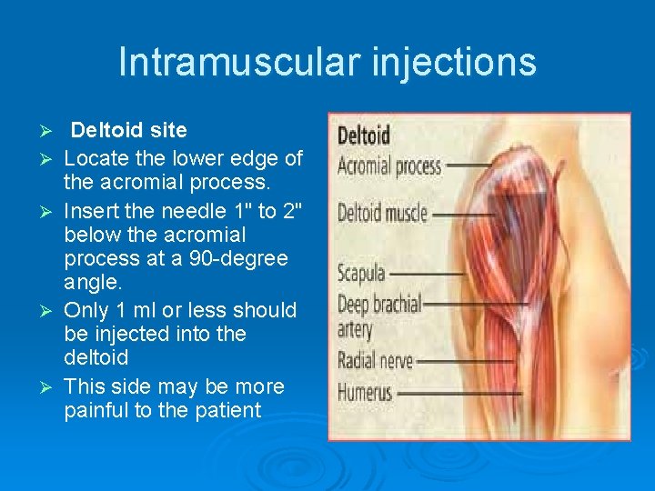 Intramuscular injections Ø Ø Ø Deltoid site Locate the lower edge of the acromial