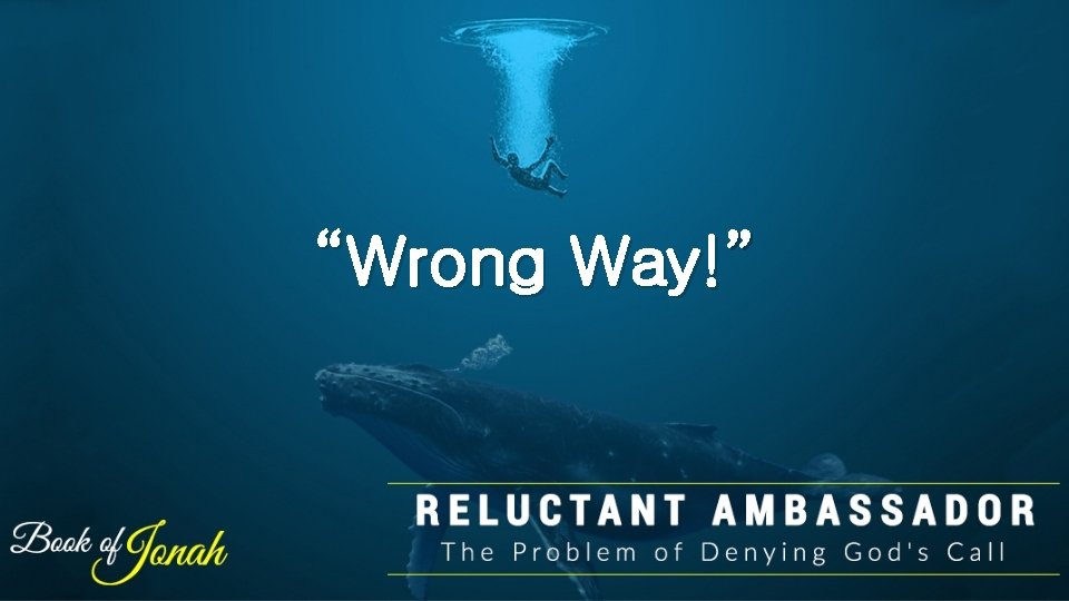 “Wrong Way!” “Wrong Way!”