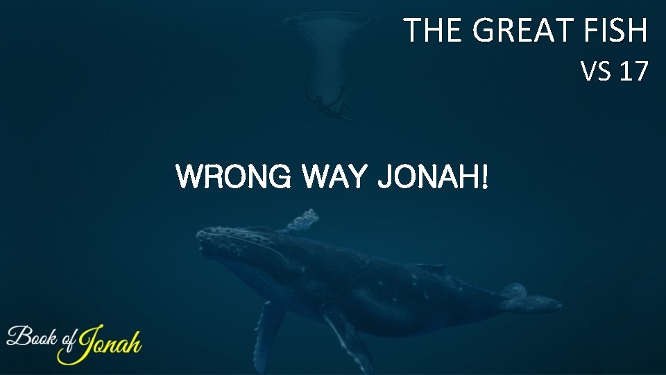 THE GREAT FISH VS 17 WRONG WAY JONAH! 