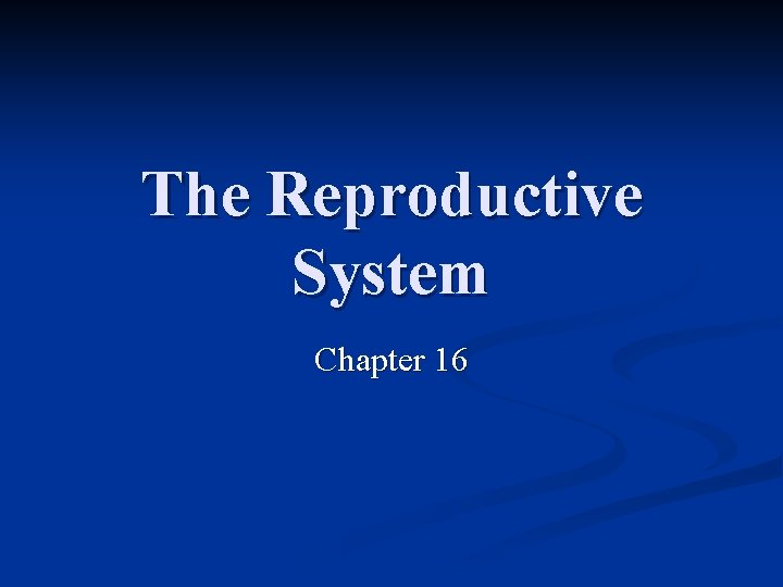 The Reproductive System Chapter 16 