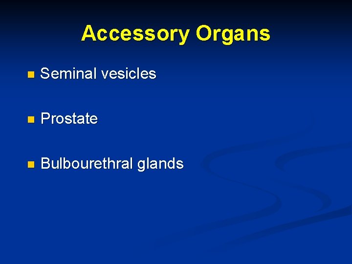 Accessory Organs n Seminal vesicles n Prostate n Bulbourethral glands 