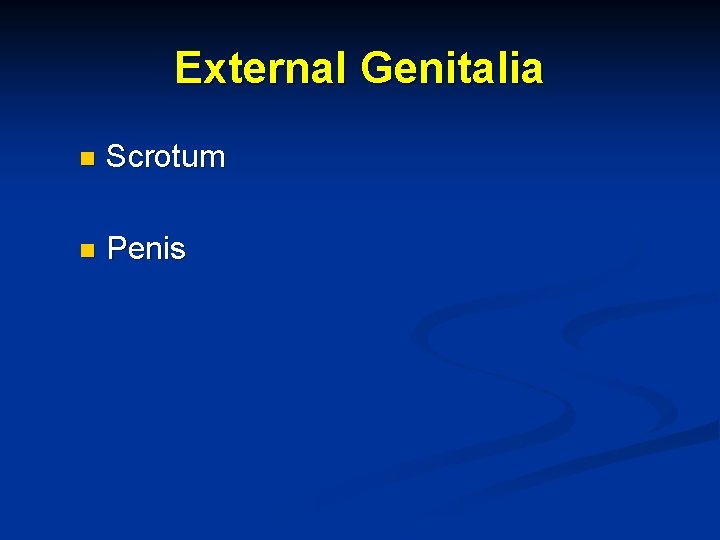 External Genitalia n Scrotum n Penis 