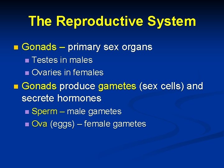 The Reproductive System n Gonads – primary sex organs Testes in males n Ovaries