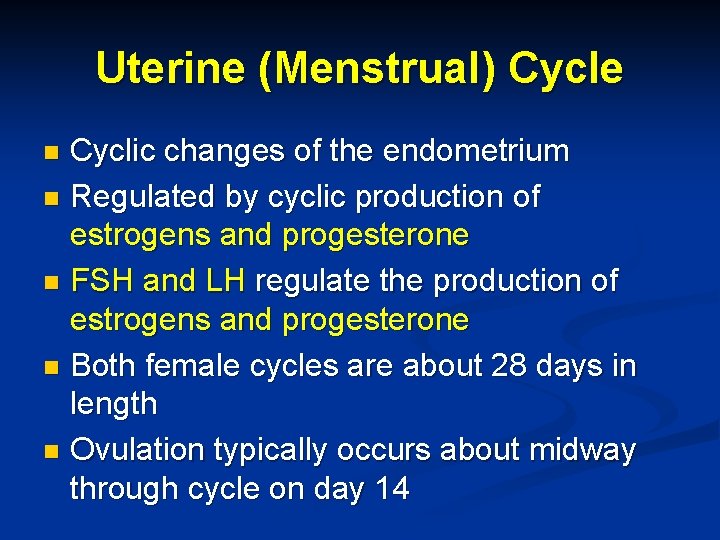 Uterine (Menstrual) Cycle Cyclic changes of the endometrium n Regulated by cyclic production of