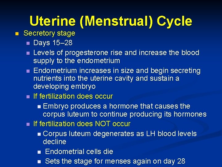 Uterine (Menstrual) Cycle n Secretory stage n Days 15– 28 n Levels of progesterone