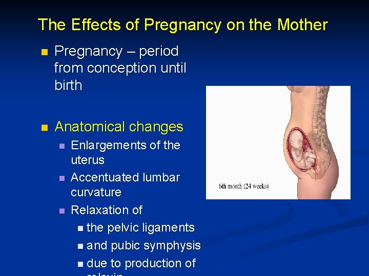 The Effects of Pregnancy on the Mother n Pregnancy – period from conception until