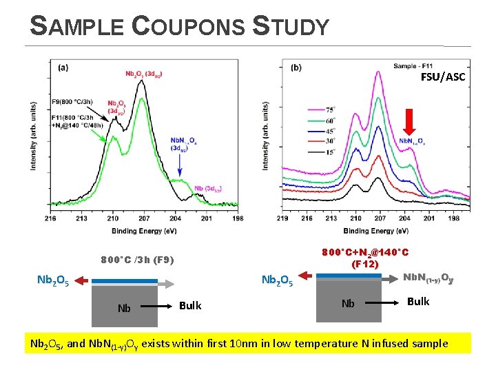 SAMPLE COUPONS STUDY FSU/ASC 800°C /3 h (F 9) Nb 2 O 5 Nb SAMPLE COUPONS STUDY FSU/ASC 800°C /3 h (F 9) Nb 2 O 5 Nb