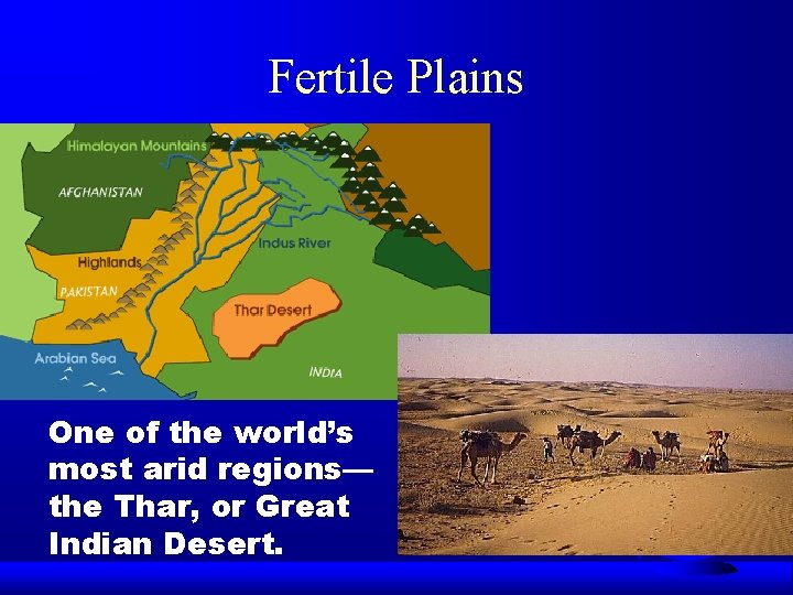 Fertile Plains One of the world’s most arid regions— the Thar, or Great Indian