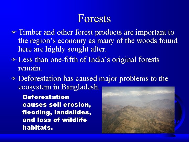Forests F Timber and other forest products are important to the region’s economy as