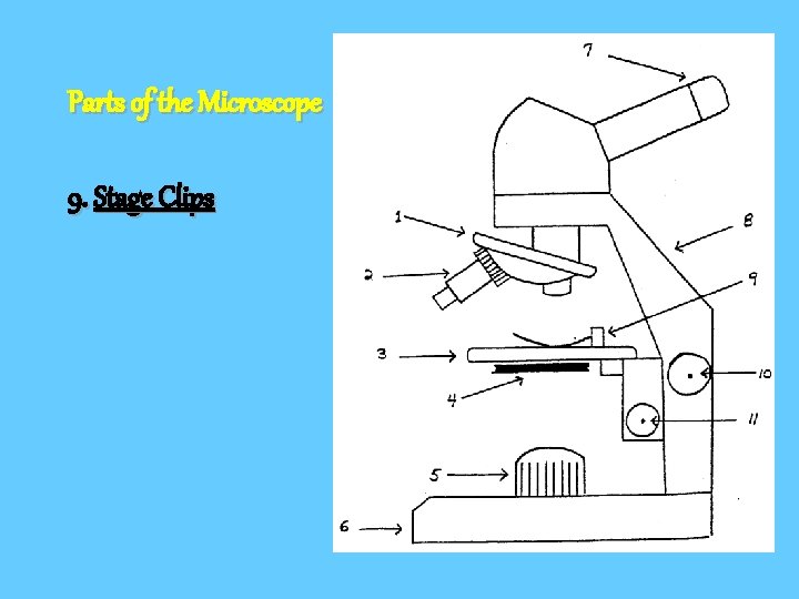 Parts of the Microscope 9. Stage Clips 