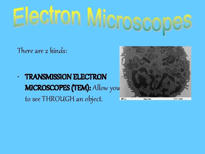 There are 2 kinds: • TRANSMISSION ELECTRON MICROSCOPES (TEM): Allow you to see THROUGH