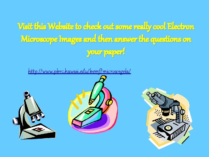 Visit this Website to check out some really cool Electron Microscope Images and then