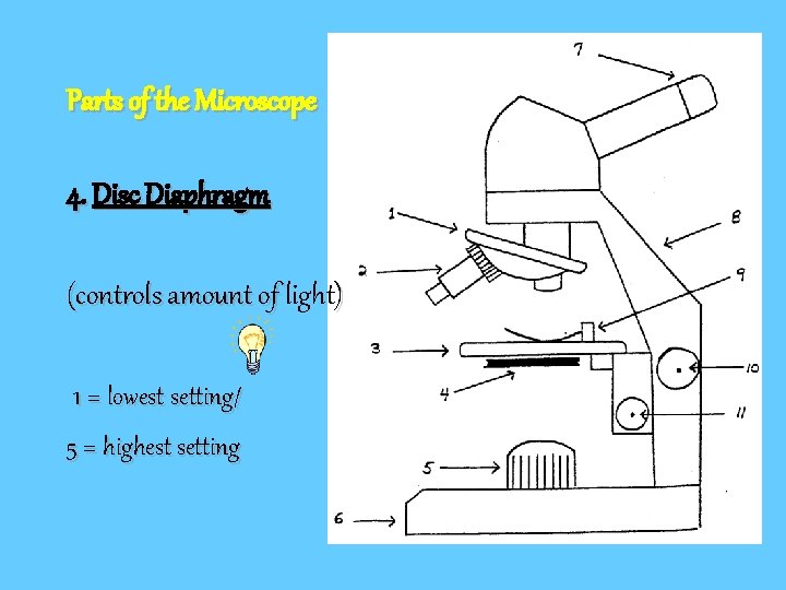 Parts of the Microscope 4. Disc Diaphragm (controls amount of light) 1 = lowest