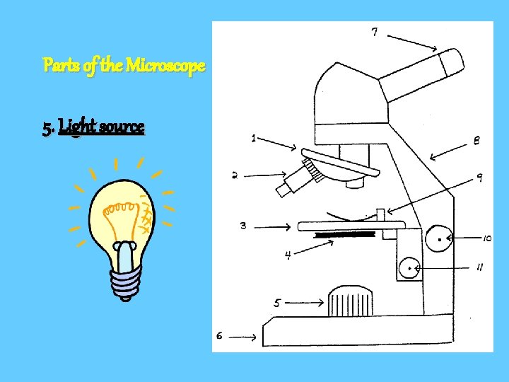 Parts of the Microscope 5. Light source 