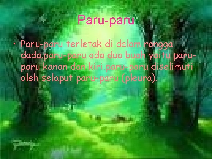 Paru-paru • Paru-paru terletak di dalam rongga dada. paru-paru ada dua buah yaitu paru