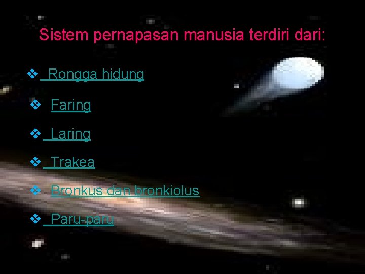 Sistem pernapasan manusia terdiri dari: v Rongga hidung v Faring v Laring v Trakea