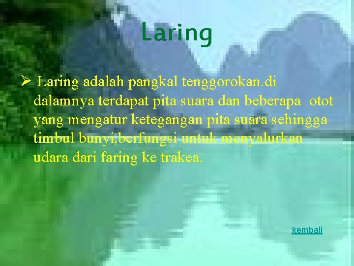 Laring Ø Laring adalah pangkal tenggorokan. di dalamnya terdapat pita suara dan beberapa otot