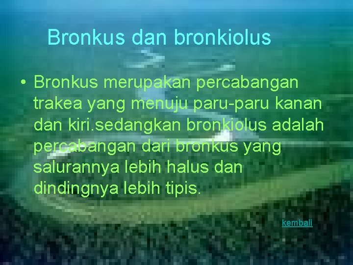 Bronkus dan bronkiolus • Bronkus merupakan percabangan trakea yang menuju paru-paru kanan dan kiri.