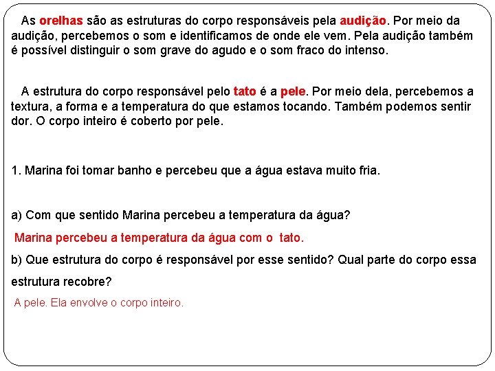  As orelhas são as estruturas do corpo responsáveis pela audição. Por meio da