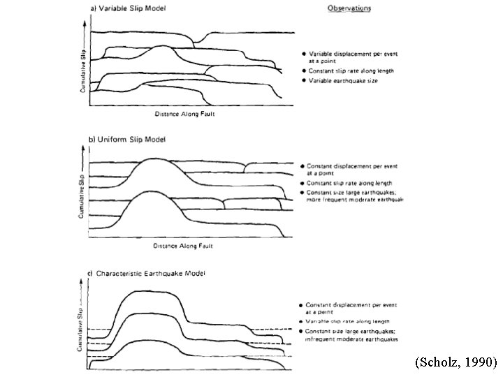 (Scholz, 1990) 