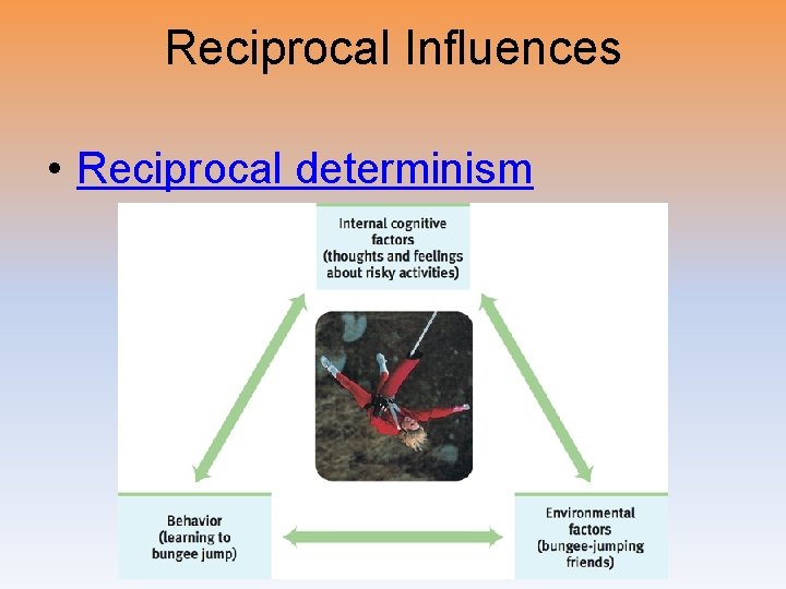 Reciprocal Influences • Reciprocal determinism 