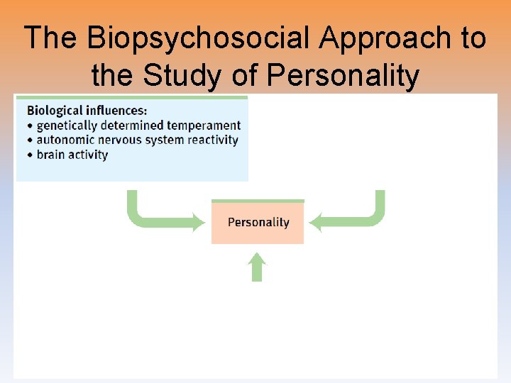 The Biopsychosocial Approach to the Study of Personality 