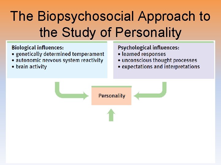 The Biopsychosocial Approach to the Study of Personality 