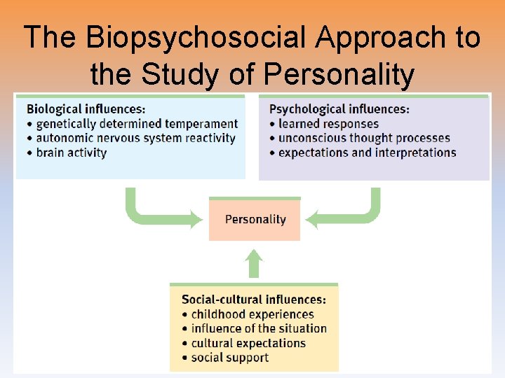 The Biopsychosocial Approach to the Study of Personality 