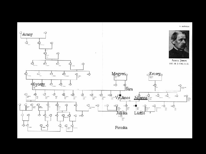 Családfája Arany Megyeri Ercsey György Sára V. . János Julianna Juliska László Piroska 