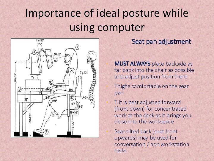 Importance of ideal posture while using computer Seat pan adjustment • MUST ALWAYS place